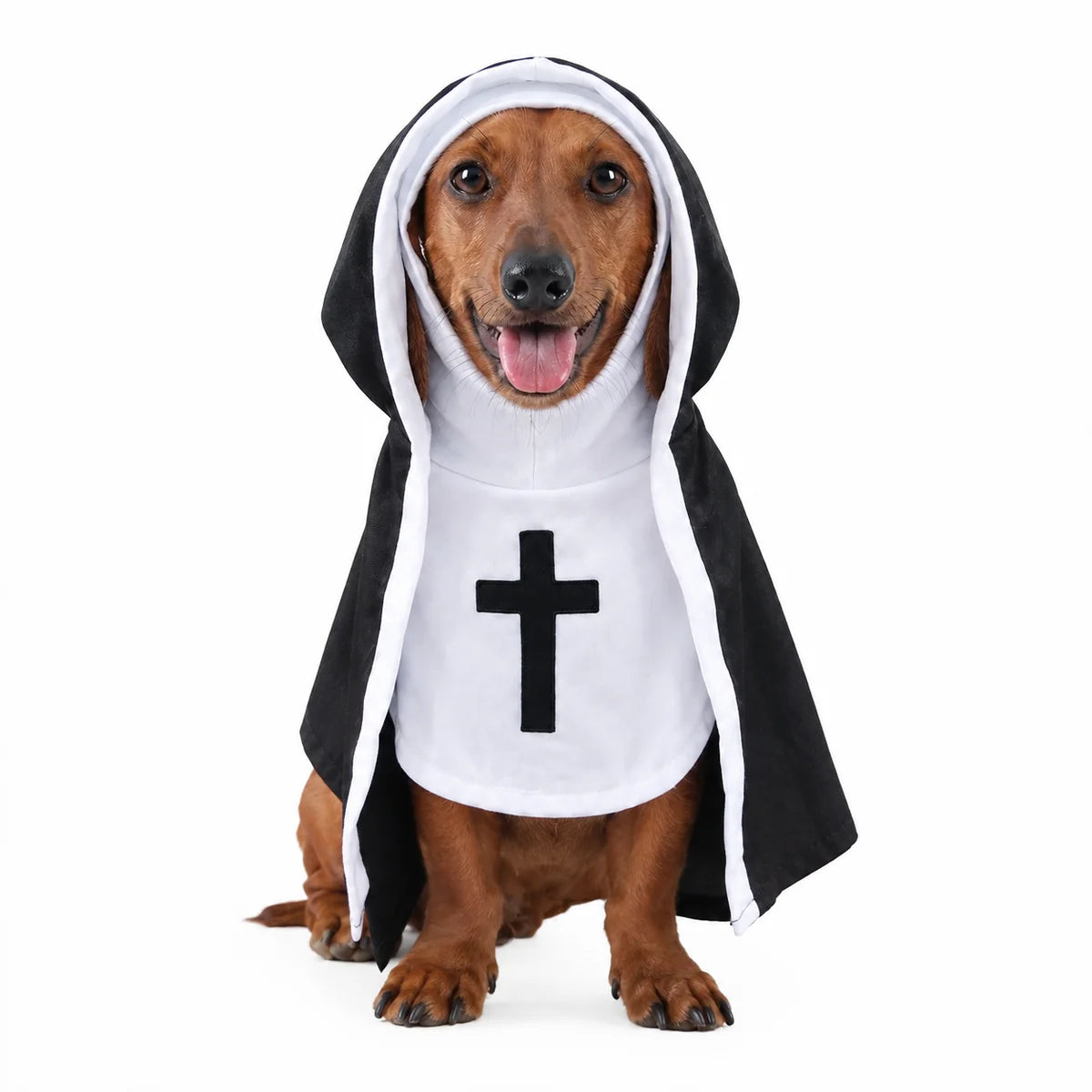HolyPaws™ Haunted Nun Costume
